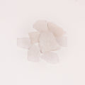 Camphor Resin