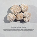 Desert Rose Tumbled Stone