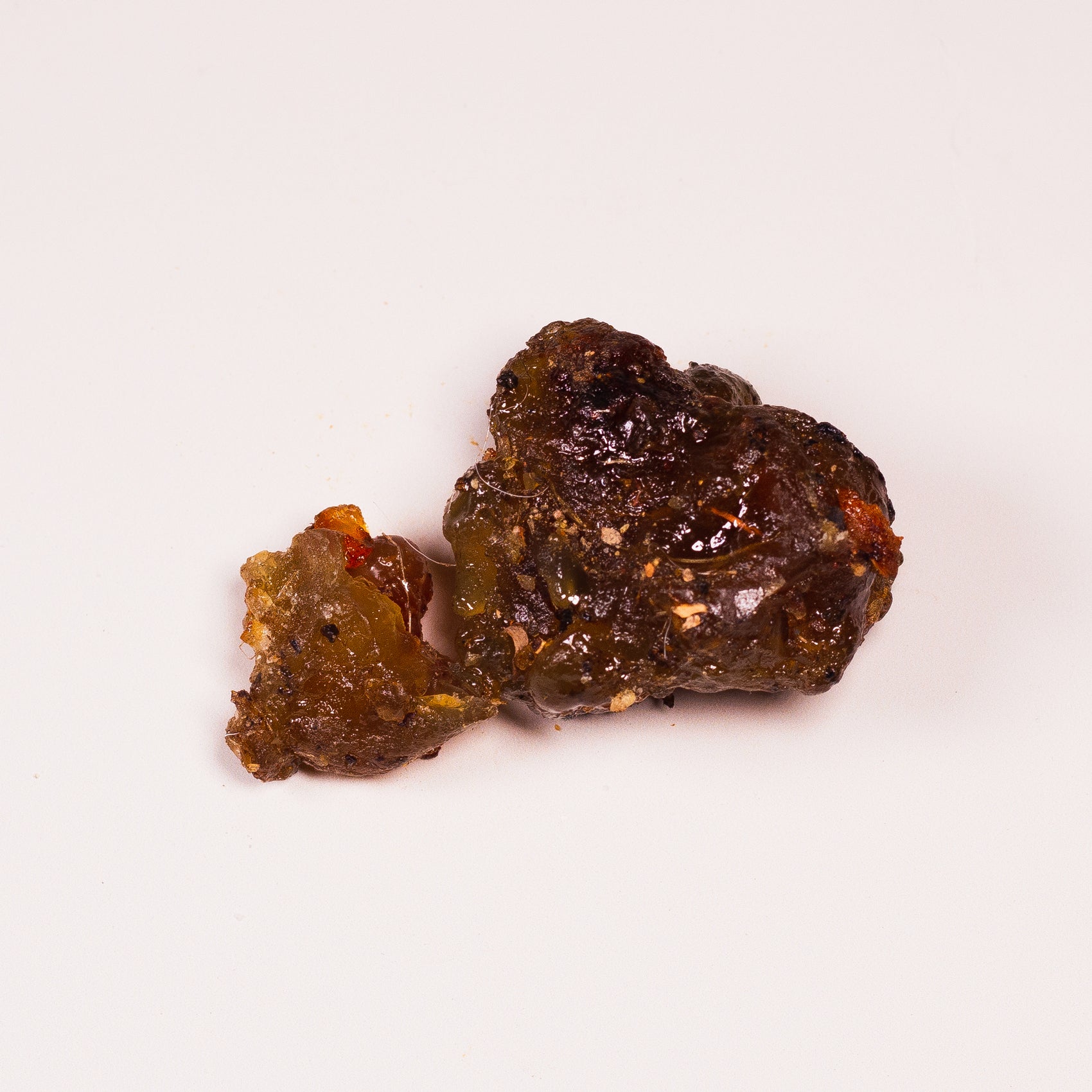 GUGGUL (Commiphora mukul) RESIN - 100 L
