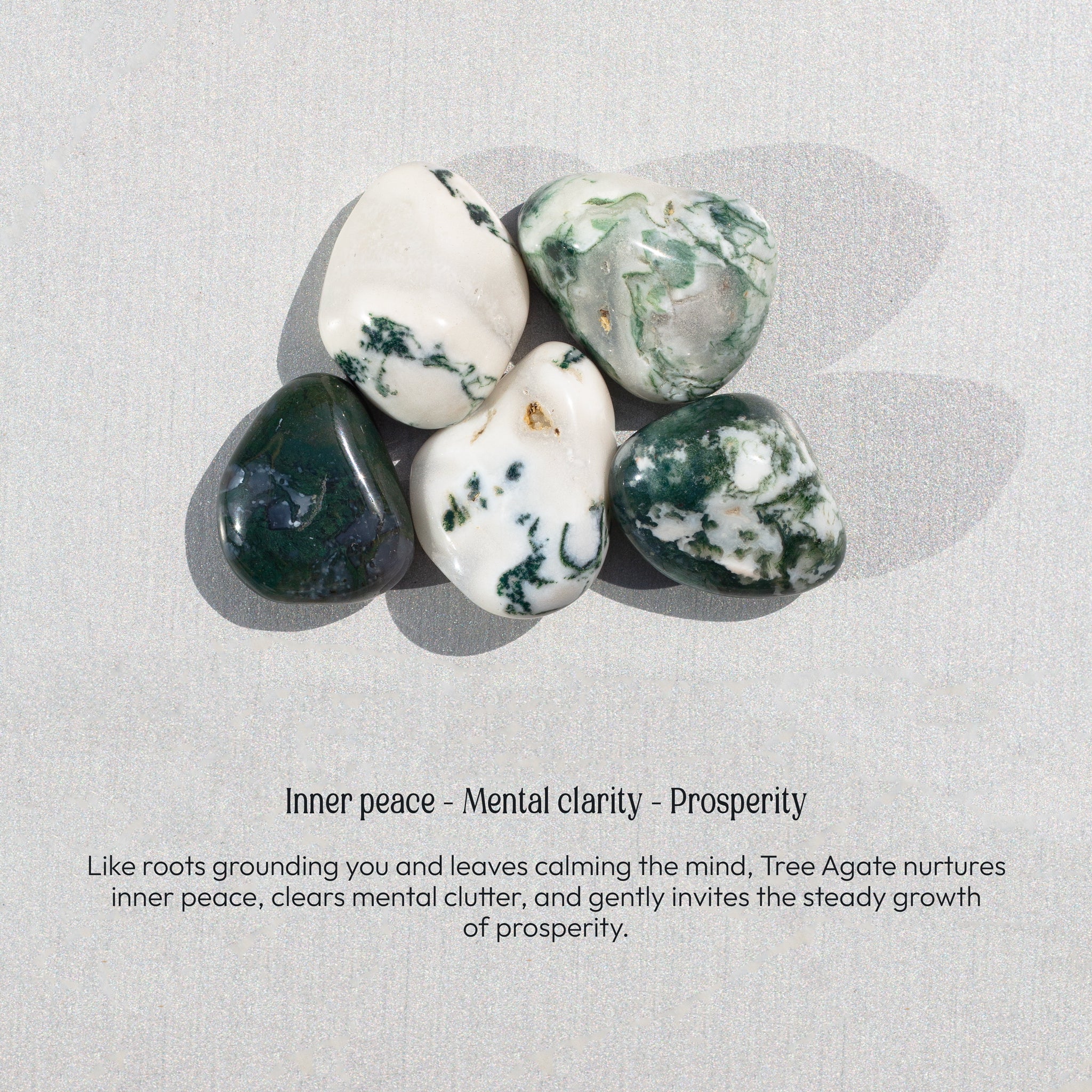 TREE AGATE TUMBLE STONE